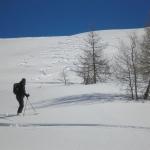 TING DEL LAGORAI (MALGA VAL CION)_21